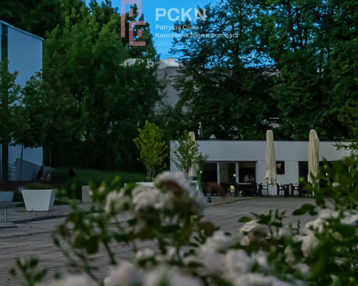 Lokal Wynajem Opole Plac Teatralny