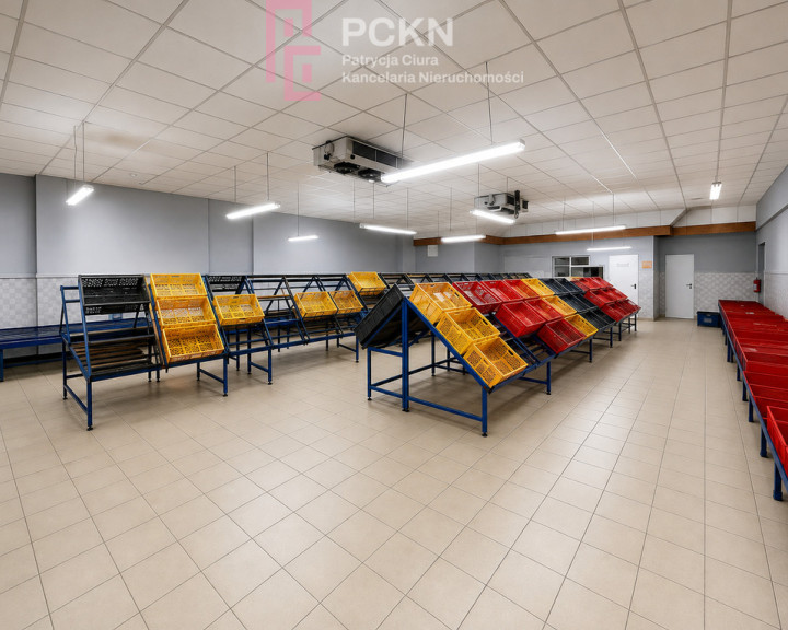 Magazyn Wynajem Opole Śródmieście