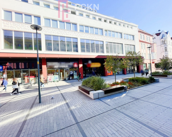 Lokal Wynajem Opole Centrum